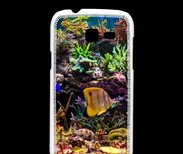 Coque Samsung Galaxy Fresh Poisson Tropical
