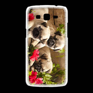 Coque Samsung Galaxy Grand2 Trio de chiots Carlin