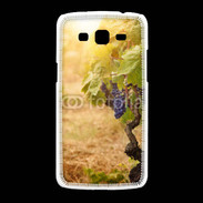 Coque Samsung Galaxy Grand2 vignes automne