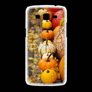 Coque Samsung Galaxy Grand2 Citrouilles