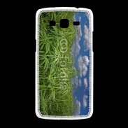 Coque Samsung Galaxy Grand2 Champs de cannabis