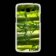 Coque Samsung Galaxy Grand2 Forêt de bambou