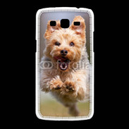 Coque Samsung Galaxy Grand2 Yorkshire terrier 6