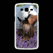 Coque Samsung Galaxy Grand2 Cheval sentant la lavande 