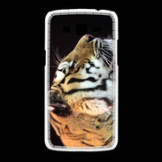 Coque Samsung Galaxy Grand2 Portrait de tigre PB 1
