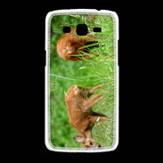 Coque Samsung Galaxy Grand2 Chevreuil PB 1