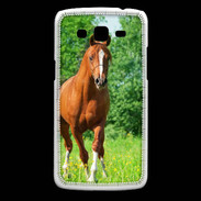 Coque Samsung Core Plus Cheval arabe robe marron et blanche