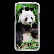 Coque Samsung Core Plus Panda gourmand
