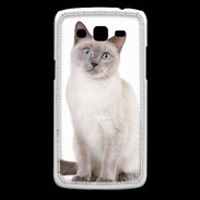Coque Samsung Core Plus Chat siamois 25