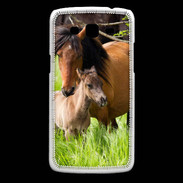 Coque Samsung Core Plus Cheval et poulain