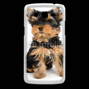 Coque Samsung Core Plus Yorkshire terrier 15