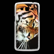 Coque Samsung Core Plus Portrait de tigre PB 3