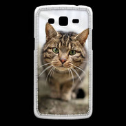Coque Samsung Core Plus Portrait de chat PR