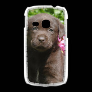 Coque Samsung Galaxy Young Chien labrador chocolat 3