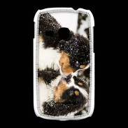 Coque Samsung Galaxy Young Chiot Saint Bernard