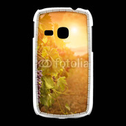 Coque Samsung Galaxy Young Automne, vignes, couché de soleil