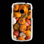 Coque Samsung Galaxy Young fond de citrouilles automne