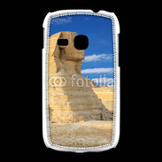 Coque Samsung Galaxy Young La Sfonge