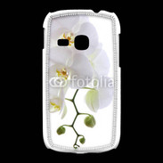 Coque Samsung Galaxy Young Orchidée blanche