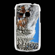 Coque Samsung Galaxy Young Chalets Grand Bornand