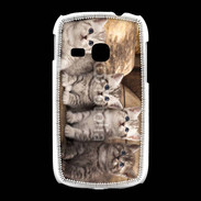 Coque Samsung Galaxy Young Chaton gris 2