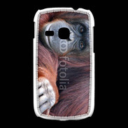 Coque Samsung Galaxy Young Singe adulte 