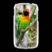 Coque Samsung Galaxy Young Oiseau Inséparable
