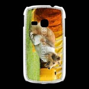 Coque Samsung Galaxy Young Agility Colley