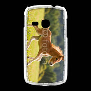 Coque Samsung Galaxy Young Poulain dans un champs