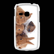 Coque Samsung Galaxy Young Gardien de lapins