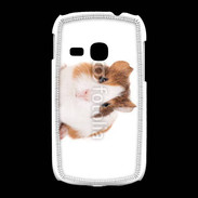 Coque Samsung Galaxy Young Cochon d'inde 2