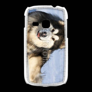 Coque Samsung Galaxy Young Chien d'Alaska