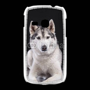 Coque Samsung Galaxy Young Chien Husky de Sibérie