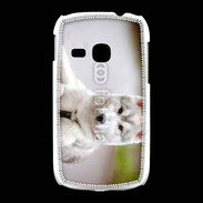 Coque Samsung Galaxy Young Chien Husky de Sibérie 2