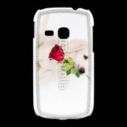 Coque Samsung Galaxy Young Chiot Golden retriever 2