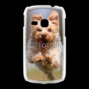 Coque Samsung Galaxy Young Yorkshire terrier 6