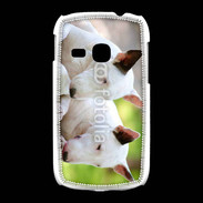 Coque Samsung Galaxy Young Chien Bull terrier anglais 1