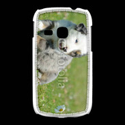 Coque Samsung Galaxy Young Chiot blanc et gris 1