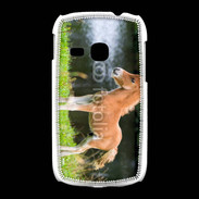 Coque Samsung Galaxy Young Poulain marron et blanc