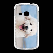 Coque Samsung Galaxy Young Chiot Golden retriever 16