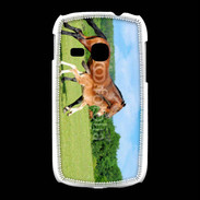 Coque Samsung Galaxy Young Cheval et poulain 2