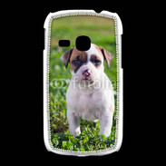 Coque Samsung Galaxy Young Chiot American Staffordshire terrier 