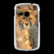 Coque Samsung Galaxy Young Jeune félin