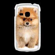 Coque Samsung Galaxy Young Chiot Spitz 15