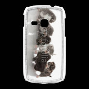 Coque Samsung Galaxy Young Petit chat en folie 500