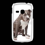 Coque Samsung Galaxy Young American staffordshire bull terrier