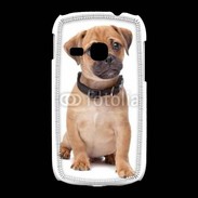 Coque Samsung Galaxy Young Cavalier king charles 700