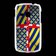 Coque Samsung Galaxy Young Région Bourgogne