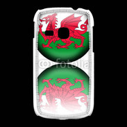 Coque Samsung Galaxy Young Pays de Galles