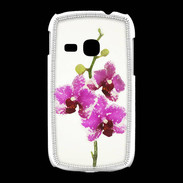 Coque Samsung Galaxy Young Branche orchidée PR